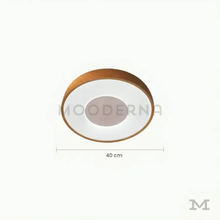 Doechii con medidas referenciales, mostrando su diámetro de 40 cm y perfil delgado.